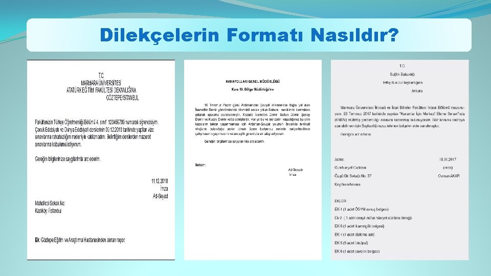 Dilekçelerin Formatı Nasıldır? 