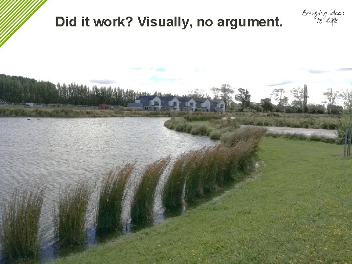 Did it work? Visually, no argument. 