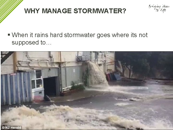 WHY MANAGE STORMWATER? § When it rains hard stormwater goes where its not supposed