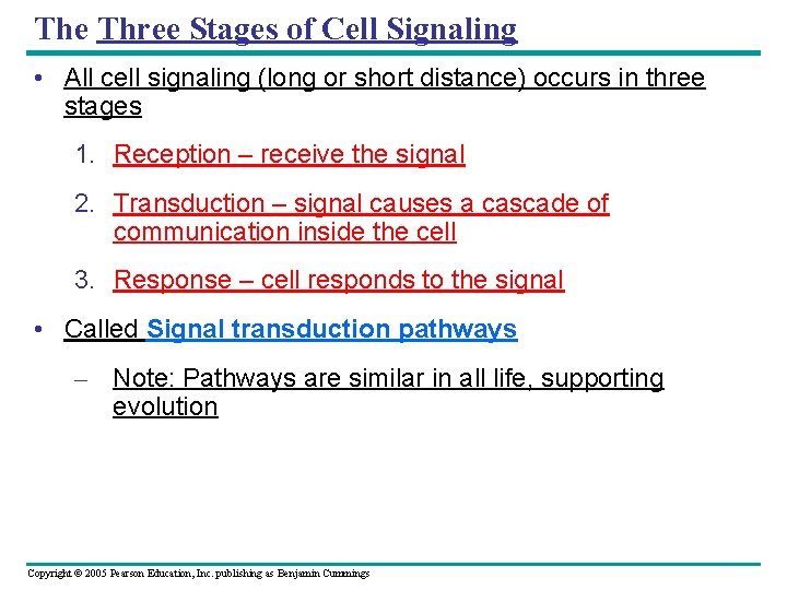 The Three Stages of Cell Signaling • All cell signaling (long or short distance)