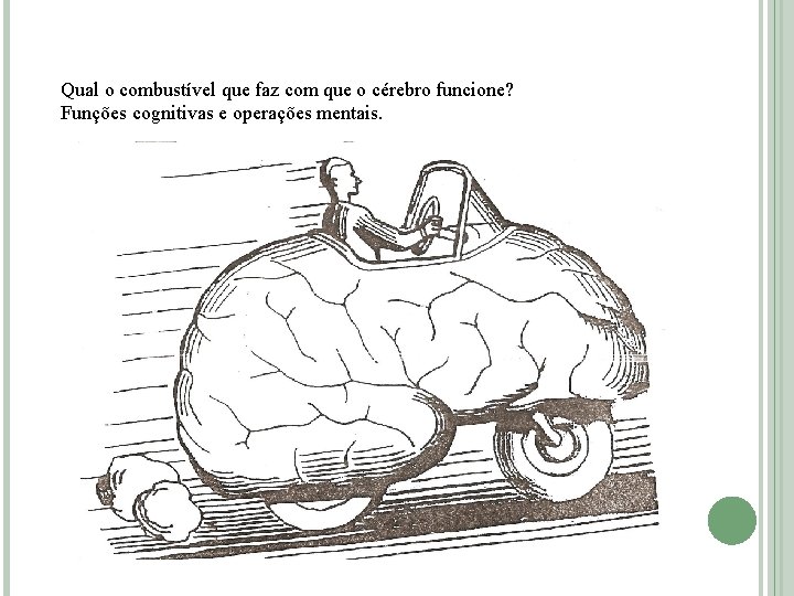 Qual o combustível que faz com que o cérebro funcione? Funções cognitivas e operações