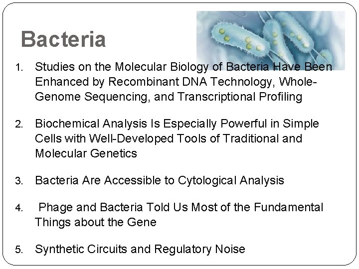 Bacteria 1. Studies on the Molecular Biology of Bacteria Have Been Enhanced by Recombinant