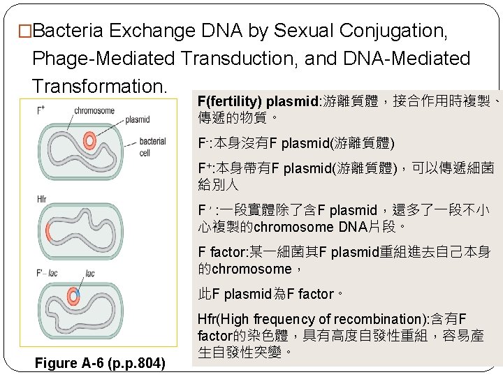 �Bacteria Exchange DNA by Sexual Conjugation, Phage-Mediated Transduction, and DNA-Mediated Transformation. F(fertility) plasmid: 游離質體，接合作用時複製、