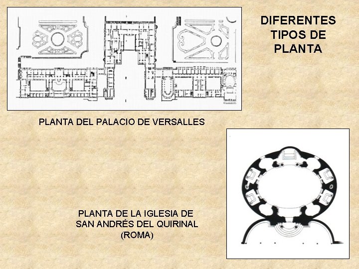 DIFERENTES TIPOS DE PLANTA DEL PALACIO DE VERSALLES PLANTA DE LA IGLESIA DE SAN
