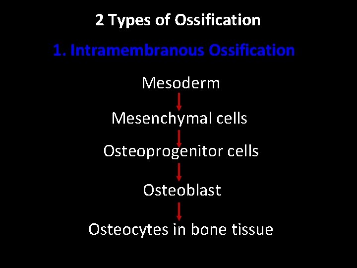 2 Types of Ossification 1. Intramembranous Ossification Mesoderm Mesenchymal cells Osteoprogenitor cells Osteoblast Osteocytes