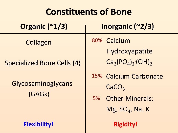 Constituents of Bone Organic (~1/3) Collagen Inorganic (~2/3) 80% Calcium Hydroxyapatite Ca 3(PO 4)2.