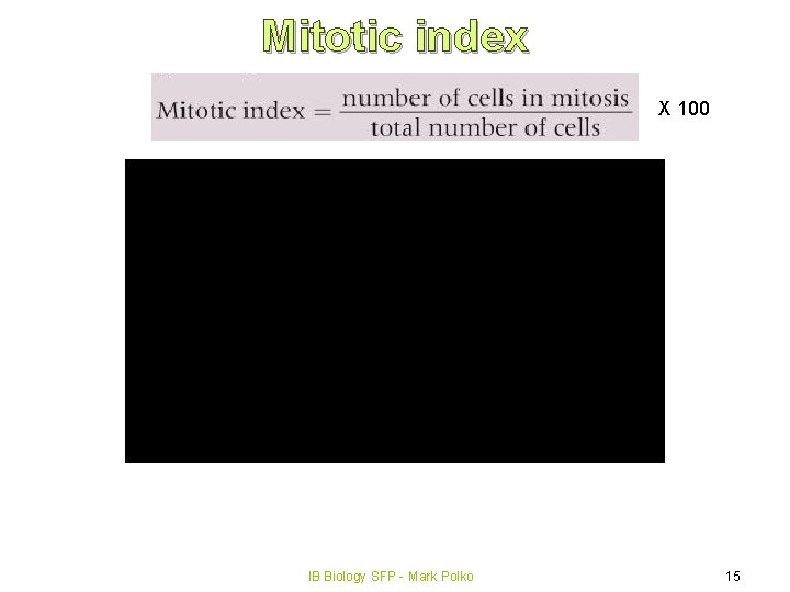 Mitotic index X 100 IB Biology SFP - Mark Polko 15 