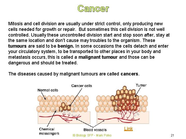 Cancer Mitosis and cell division are usually under strict control, only producing new cells