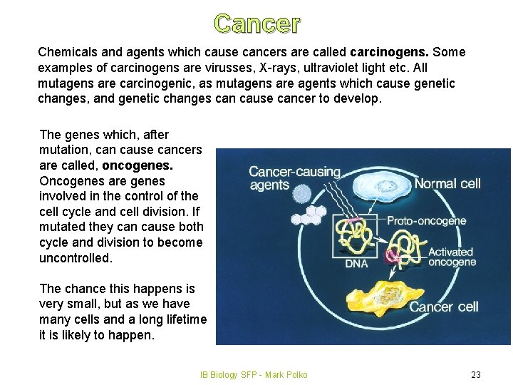 Cancer Chemicals and agents which cause cancers are called carcinogens. Some examples of carcinogens