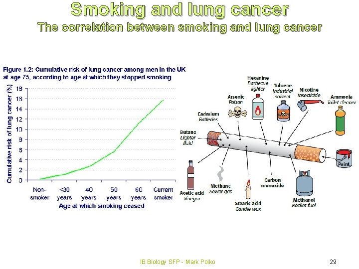 Smoking and lung cancer The correlation between smoking and lung cancer IB Biology SFP