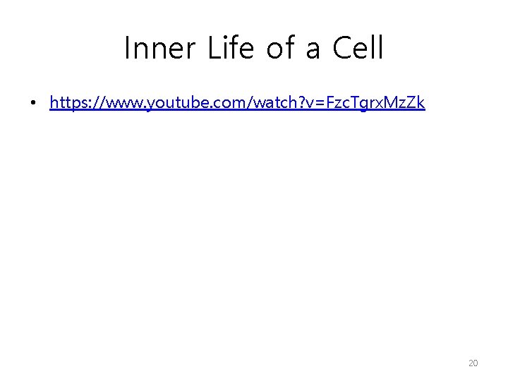 Inner Life of a Cell • https: //www. youtube. com/watch? v=Fzc. Tgrx. Mz. Zk
