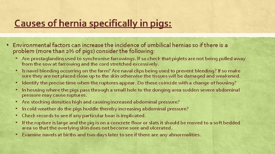 Causes of hernia specifically in pigs: ▪ Environmental factors can increase the incidence of