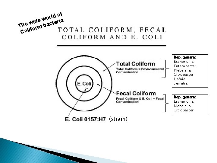 d of l r o de w cteria i w The rm ba fo