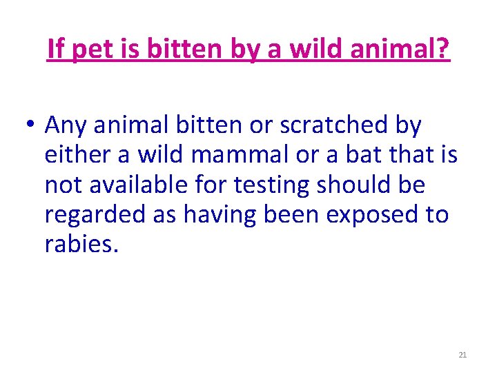 If pet is bitten by a wild animal? • Any animal bitten or scratched