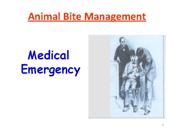 Animal Bite Management Medical Emergency 4 