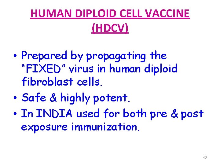 HUMAN DIPLOID CELL VACCINE (HDCV) • Prepared by propagating the “FIXED” virus in human