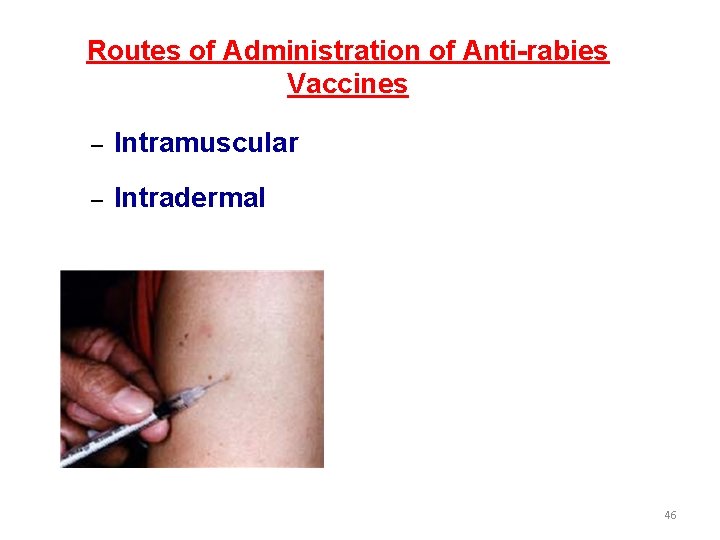 Routes of Administration of Anti-rabies Vaccines – Intramuscular – Intradermal 46 