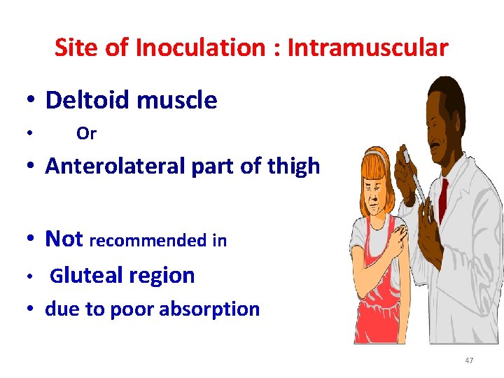 Site of Inoculation : Intramuscular • Deltoid muscle • Or • Anterolateral part of
