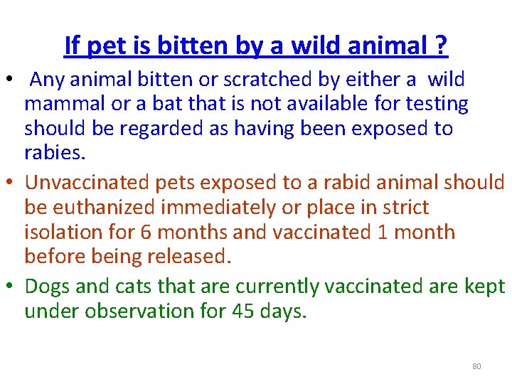 If pet is bitten by a wild animal ? • Any animal bitten or