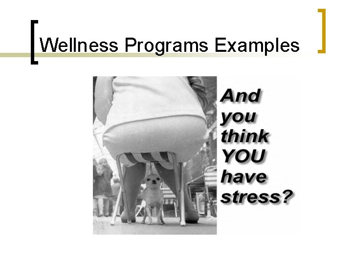 Wellness Programs Examples 