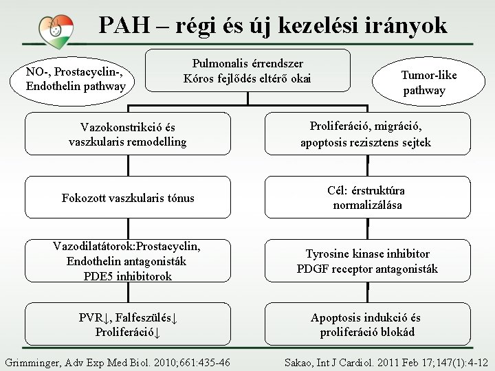 PAH – régi és új kezelési irányok NO-, Prostacyclin-, Endothelin pathway Pulmonalis érrendszer Kóros