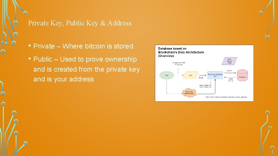 Private Key, Public Key & Address • Private – Where bitcoin is stored •
