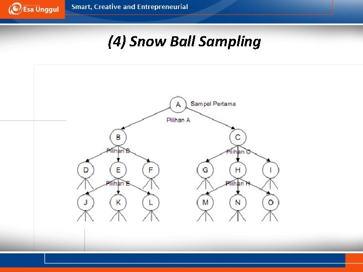 (4) Snow Ball Sampling 