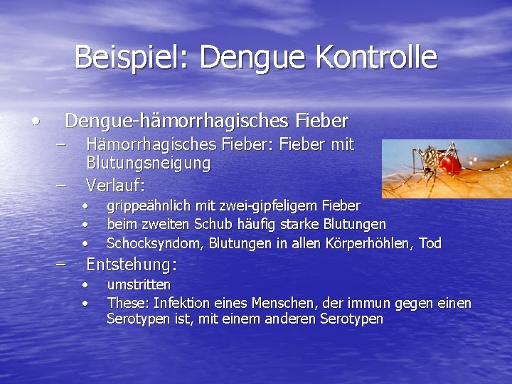 Beispiel: Dengue Kontrolle • Dengue-hämorrhagisches Fieber – – Hämorrhagisches Fieber: Fieber mit Blutungsneigung Verlauf: