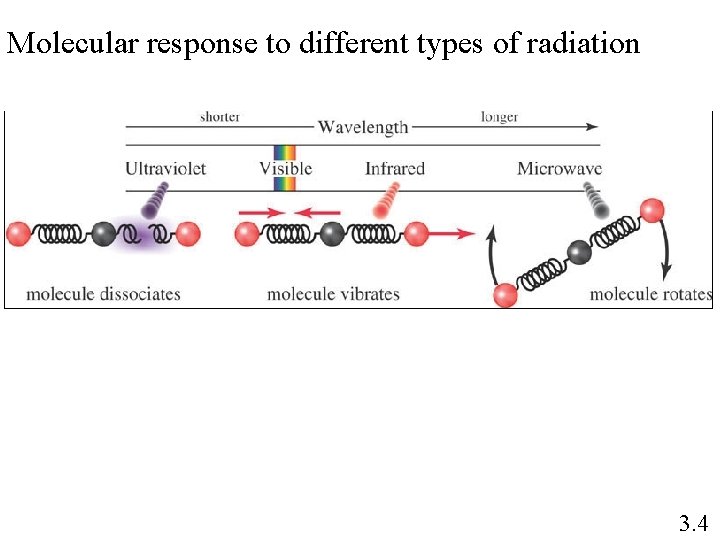 Molecular response to different types of radiation 3. 4 