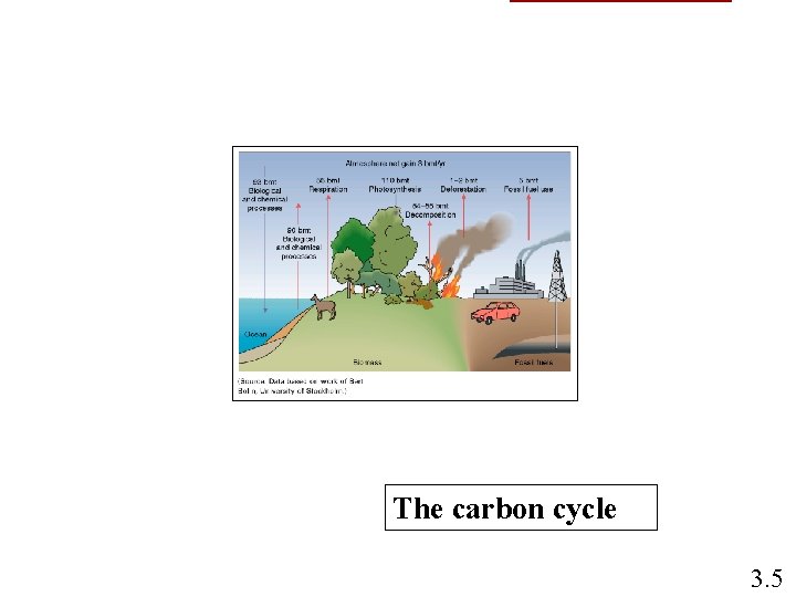 The carbon cycle 3. 5 