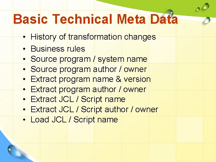 Basic Technical Meta Data • • • History of transformation changes Business rules Source