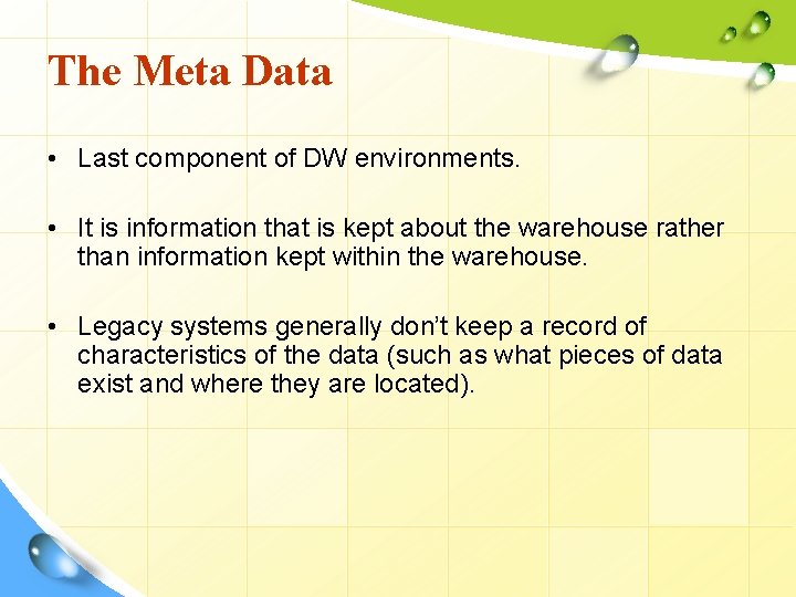 The Meta Data • Last component of DW environments. • It is information that
