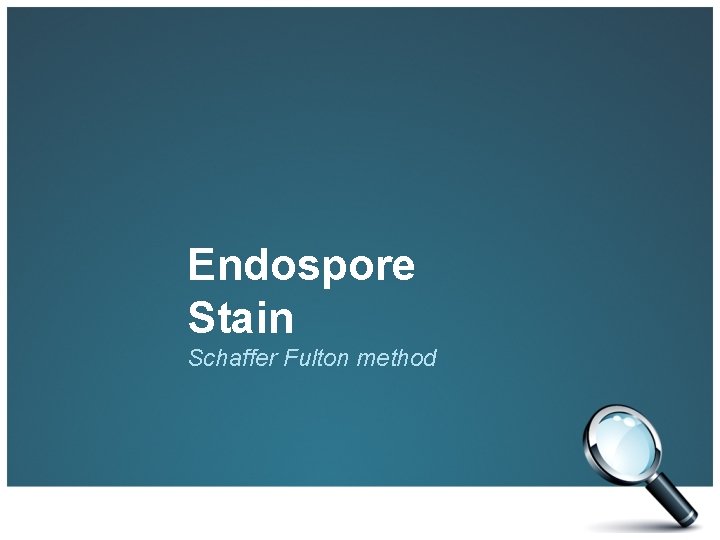 Endospore Stain Schaffer Fulton method 