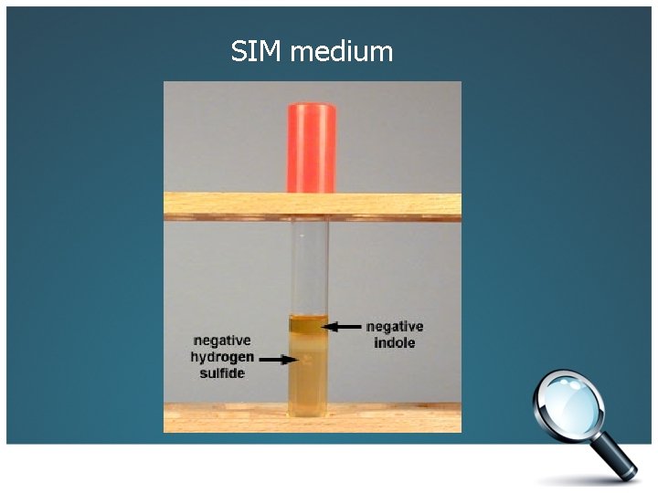 SIM medium 