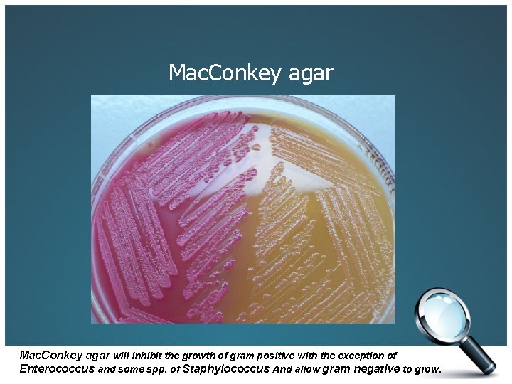 Mac. Conkey agar will inhibit the growth of gram positive with the exception of