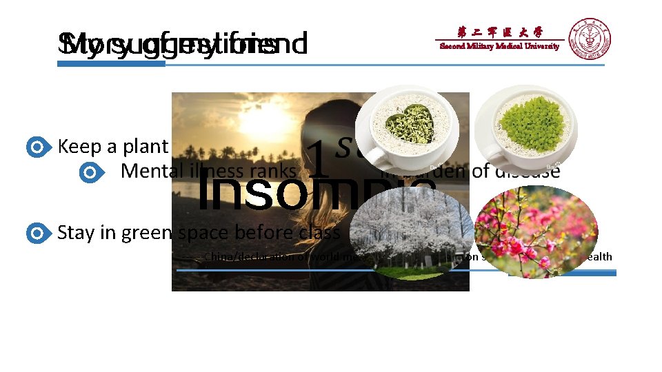 Story of my friend My suggestions 第二军医大学 Second Military Medical University Keep a plant