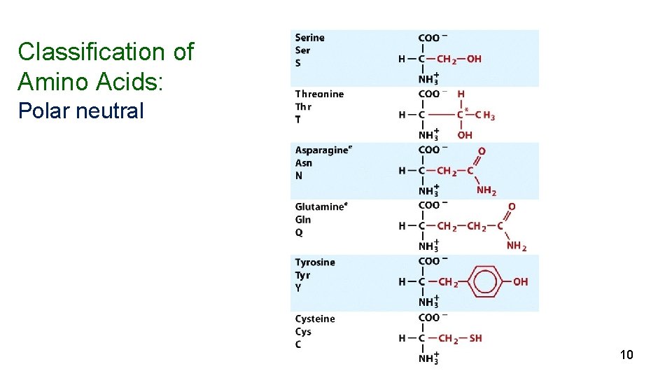 Classification of Amino Acids: Polar neutral 10 