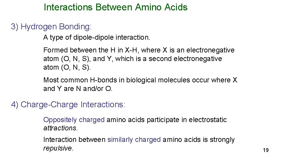 Interactions Between Amino Acids 3) Hydrogen Bonding: A type of dipole-dipole interaction. Formed between