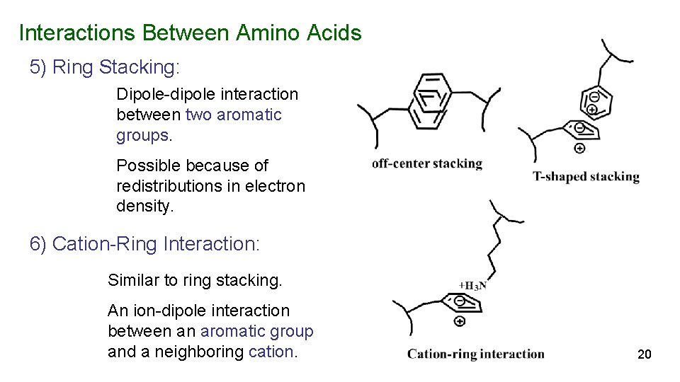Interactions Between Amino Acids 5) Ring Stacking: Dipole-dipole interaction between two aromatic groups. Possible