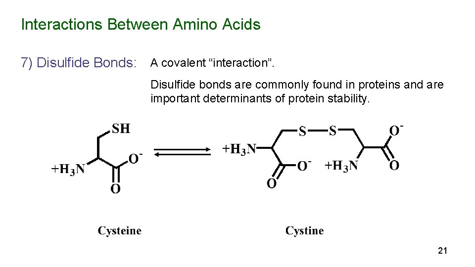 Interactions Between Amino Acids 7) Disulfide Bonds: A covalent “interaction”. Disulfide bonds are commonly