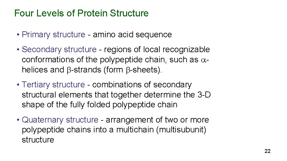 Four Levels of Protein Structure • Primary structure - amino acid sequence • Secondary
