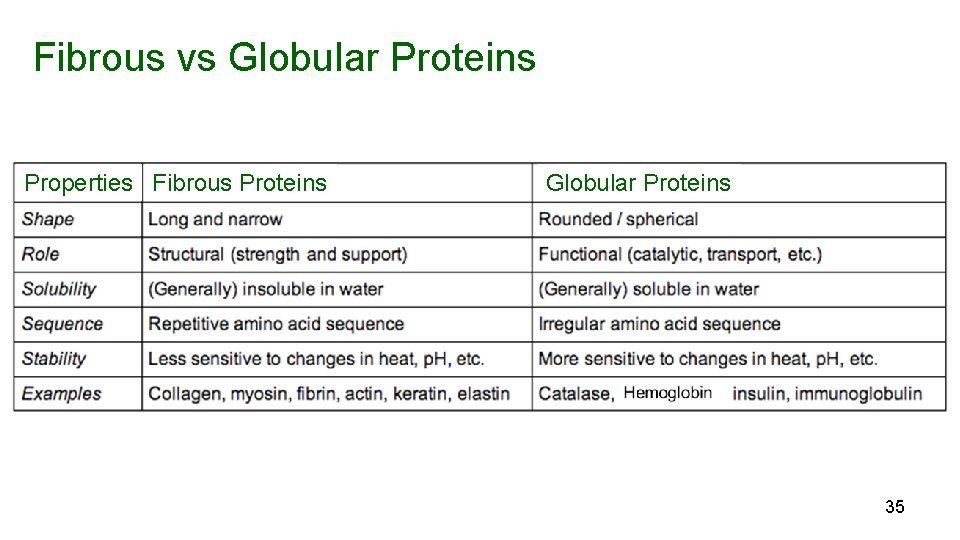 Fibrous vs Globular Proteins Properties Fibrous Proteins Globular Proteins 35 