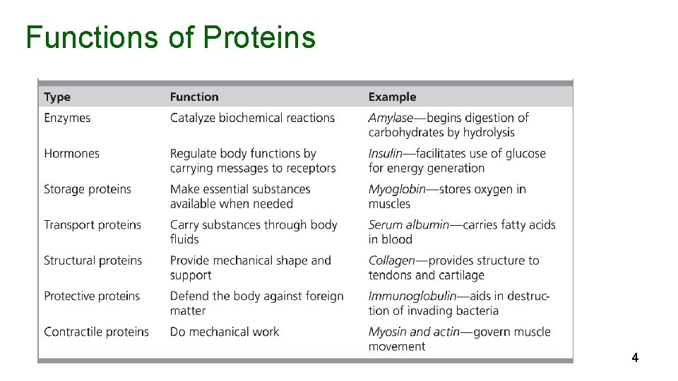 Functions of Proteins 4 