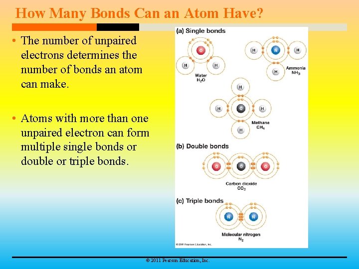 How Many Bonds Can an Atom Have? • The number of unpaired electrons determines