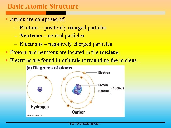 Basic Atomic Structure • Atoms are composed of: – Protons – positively charged particles