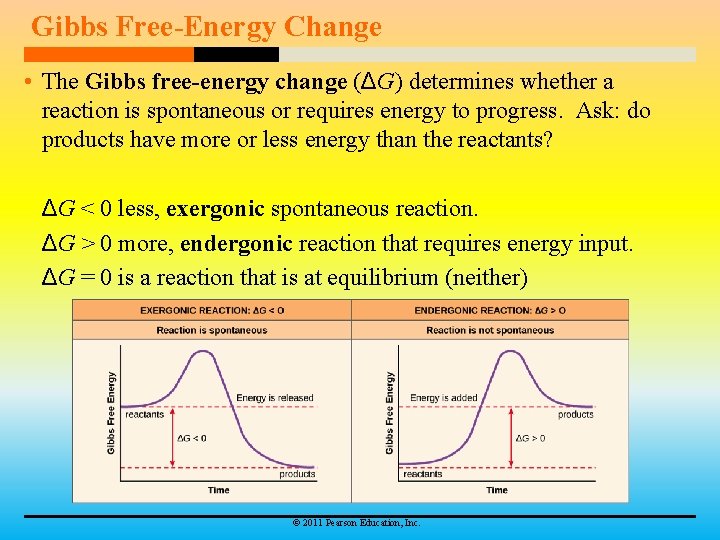 Gibbs Free-Energy Change • The Gibbs free-energy change (ΔG) determines whether a reaction is