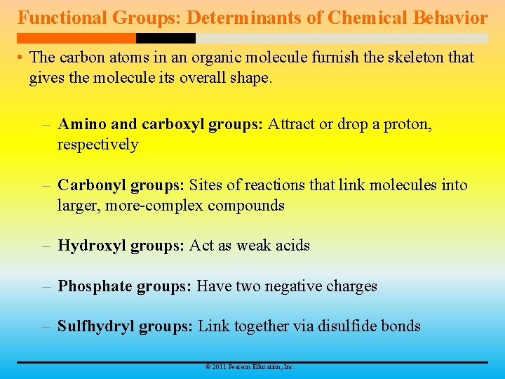 Functional Groups: Determinants of Chemical Behavior • The carbon atoms in an organic molecule
