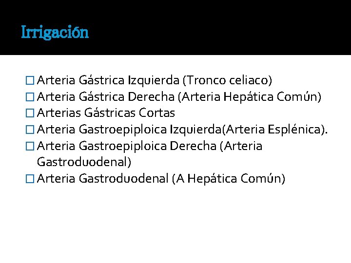 Irrigación � Arteria Gástrica Izquierda (Tronco celiaco) � Arteria Gástrica Derecha (Arteria Hepática Común)