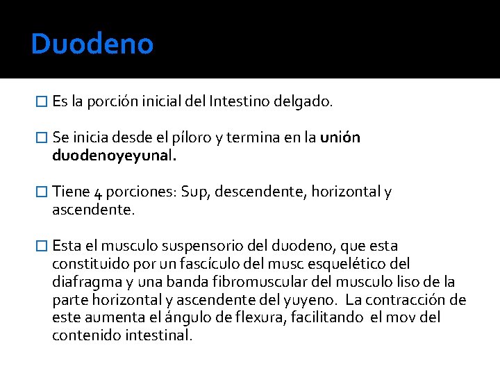 Duodeno � Es la porción inicial del Intestino delgado. � Se inicia desde el