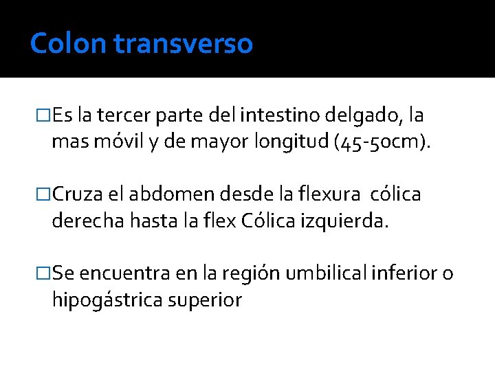 Colon transverso �Es la tercer parte del intestino delgado, la mas móvil y de